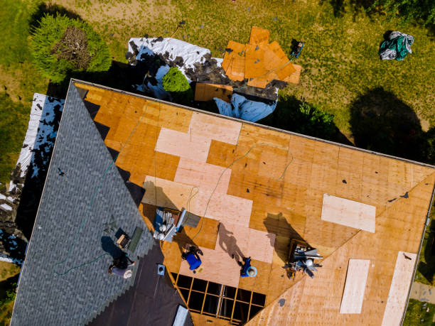 Best Roof Repair Services  in Alma, MI