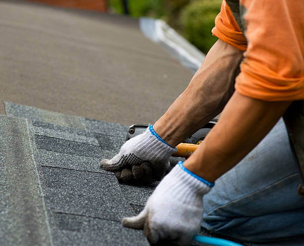 Best Roof Leak Repair  in Alma, MI