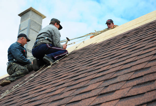 Best Roof Inspection Near Me  in Alma, MI